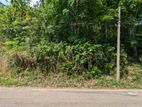 Land for sale in nittambuwa