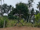 Land for Sale in Nittambuwa