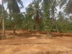 Land for Sale in Nittambuwa , Kirindiwela