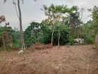 Land for Sale in Nittambuwa, Kuruwalana