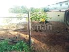 Land for Sale in Nittambuwa Pasyala