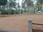 Land for sale in Nittambuwa - S03