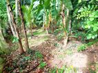 Land For Sale in Nittambuwa (SSPL- 178)