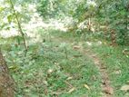 Land for Sale in Nittambuwa, T04