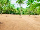 Land for Sale in Nittambuwa Unagahadeniya Y95