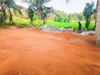 Land for Sale in NIttambuwa Urapola Road Y 40