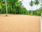 Land for Sale in Nittambuwa Walgammulla Y 56