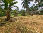 Land for Sale in Nittamuwa