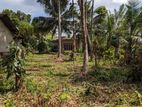 Land For Sale In Nittamuwa