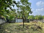 Land for Sale in Nittamuwa