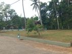 Land for Sale in නිට්ටඹුව