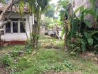 Land for Sale in Nugegoda