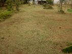 Land for Sale in Nugegoda