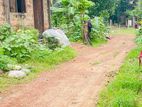 Land for Sale in Nugegoda