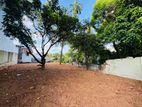 Land for Sale in Nugegoda