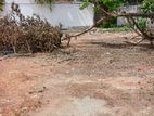 Land for sale in nugegoda. Ls-703