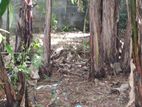 Land for Sale in Nugegoda - Udahamulla