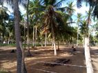 Land for Sale in Nuraicholai