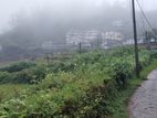 Land for Sale in Nuwara Eliya City