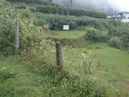 Land for Sale in Nuwara Eliya City limit