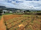 Land for Sale in Nuwara Eliya City – Prime Location