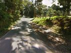 Land for Sale in Nuwara Eliya