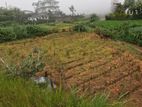 Land for Sale in Nuwara Eliya