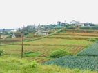 Land for Sale in Nuwara Eliya