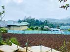 Land For Sale in Nuwara Eliya