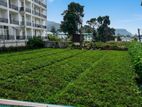 Land for Sale in Nuwara Eliya