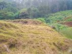 Land for Sale in Nuwara Eliya