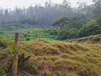 Land for Sale in Nuwara Eliya