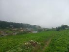 Land For Sale in Nuwara Eliya