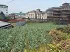 Land for Sale in Nuwara Eliya