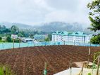 Land For Sale in Nuwara Eliya