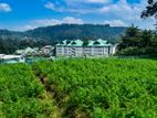 Land For Sale in Nuwara Eliya