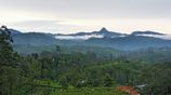 Land for sale in Nuwara Eliya Hatton