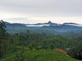 Land for sale in Nuwara Eliya Hatton.