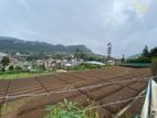 Land for Sale in Nuwara Eliya