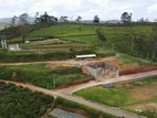 Land for Sale in Nuwara Eliya -Meepilimanna