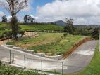 Land for Sale in Nuwara Eliya - Meepilimanna