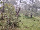 Land for Sale in Nuwara Eliya - PDL4