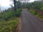 Land for Sale in Nuwara Eliya Pudaluoya