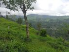 Land for Sale in Nuwara Eliya Rd - Pudaluoya