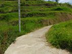 Land for Sale in Nuwaraeliya Abewela