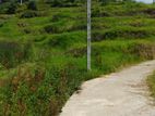 Land for sale in Nuwaraeliya Abewela