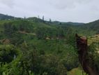 Land for sale in Nuwaraeliya Abewela