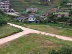 Land for sale in Nuwaraeliya Ambewela Road