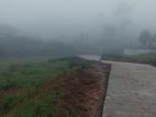 Land for Sale in Nuwaraeliya Blackpool