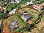 Land For Sale In Nuwaraeliya